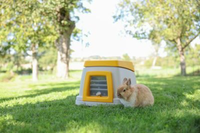 小動物用 ハウス KERBL ケアブル ロデントハウスバニーコンプリートセット