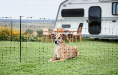 犬用 キャンプグッズ KERBL ケアブル バウンダリーフェンスキャンプセット