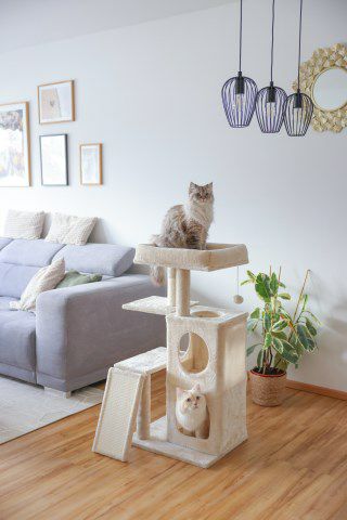 猫用 キャットタワー KERBL ケアブル キャットツリー アレッシア