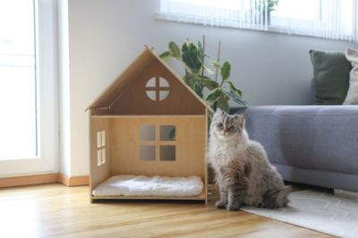 猫用 キャットハウス KERBL ケアブル 猫ハウス インドアキャットハウス イヴィ