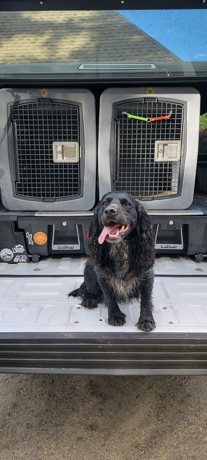 DAKOTA 283 G3｜アメリカ製 頑丈な犬用クレート・車載ケネル