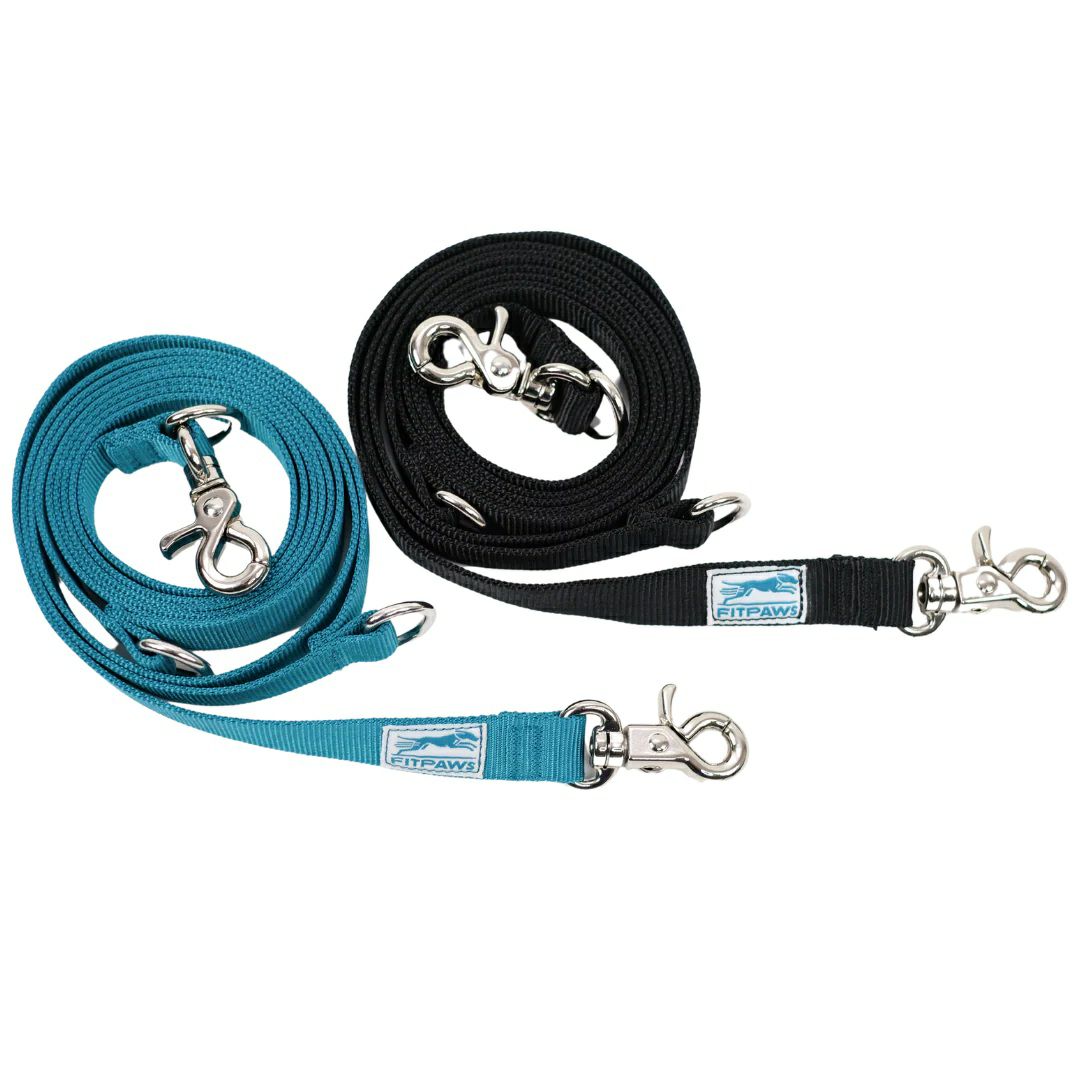 犬用 リード FitPAWS Made to Move リード