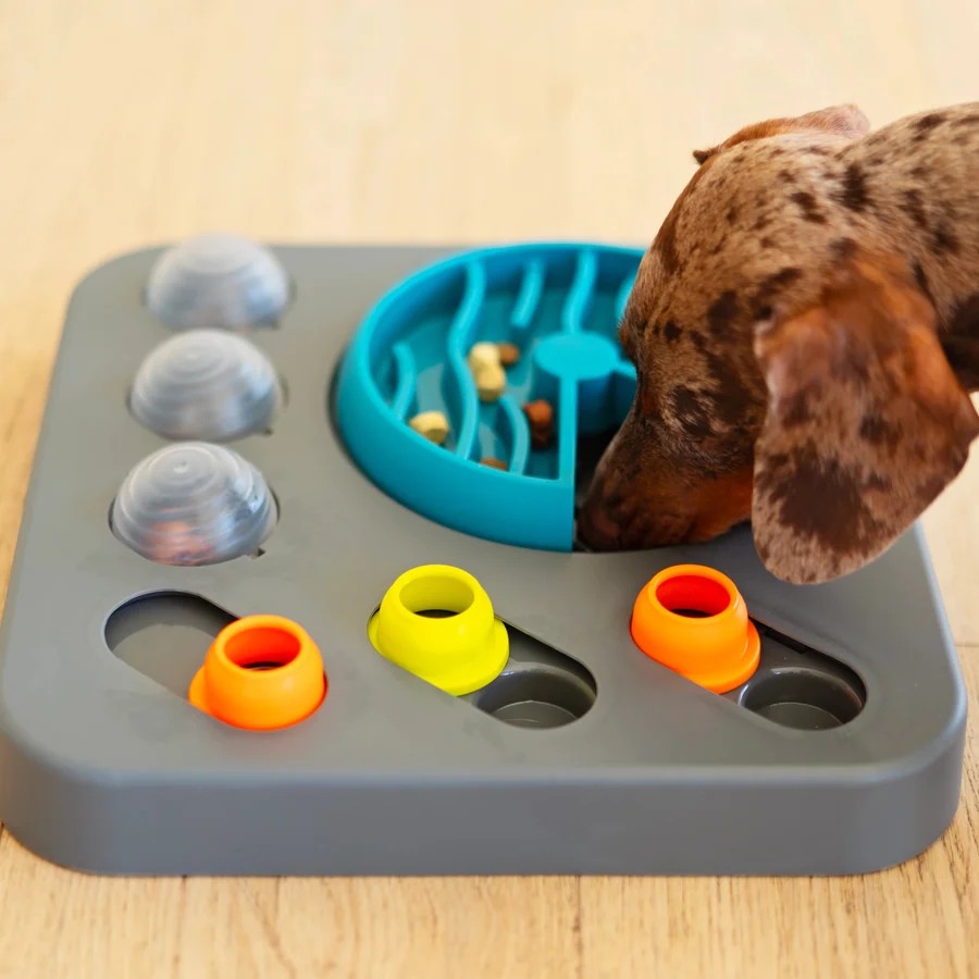 犬用 おもちゃ MessyMutts メッシーマット フリップンスライドパズラー