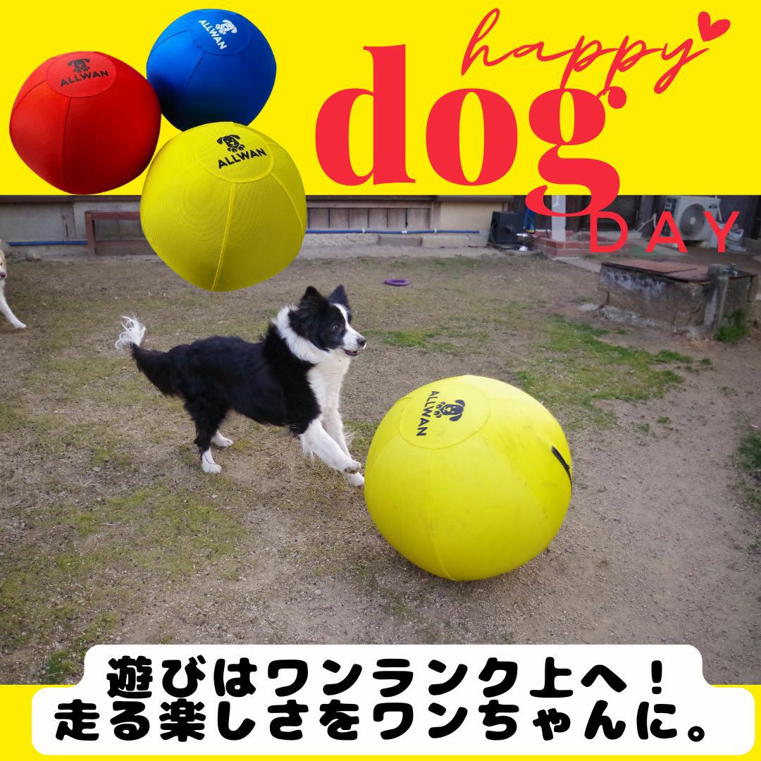 ALLWAN パワフルプレイボール