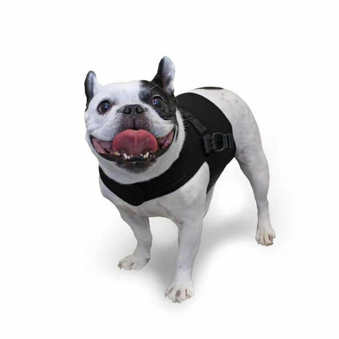 犬用 ハーネス WalkinPet ウォーキンペット プレミアムフロントベスト