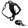 犬用 リード FitPAWS Made to Move ハーネス＆リードセット