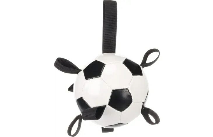 犬用 おもちゃ ベルギーFLAMINGOPET フットボールwithリボン