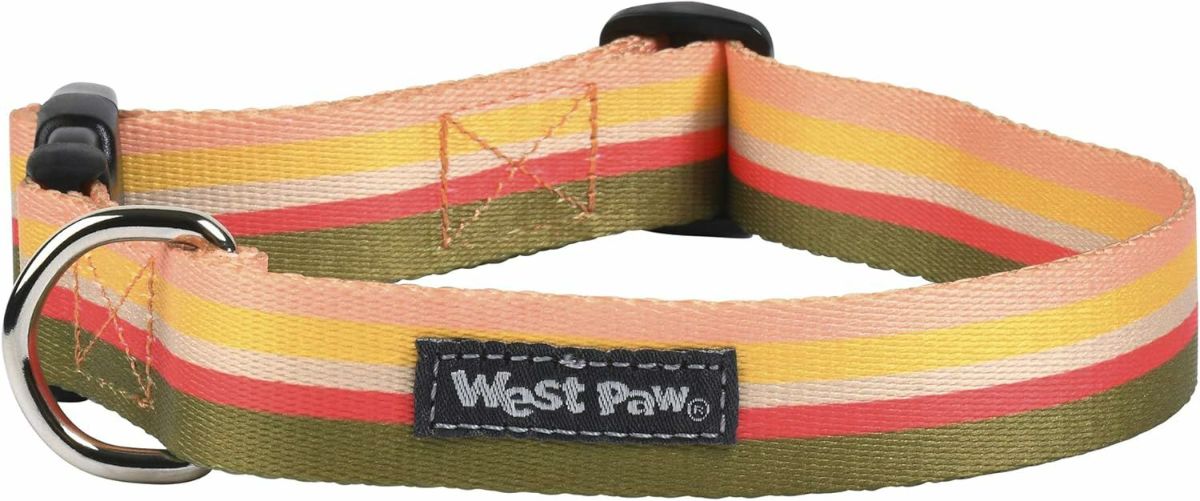 犬用 首輪 WESTPAW クイックスナップバックルカラー Mサイズ レインボー