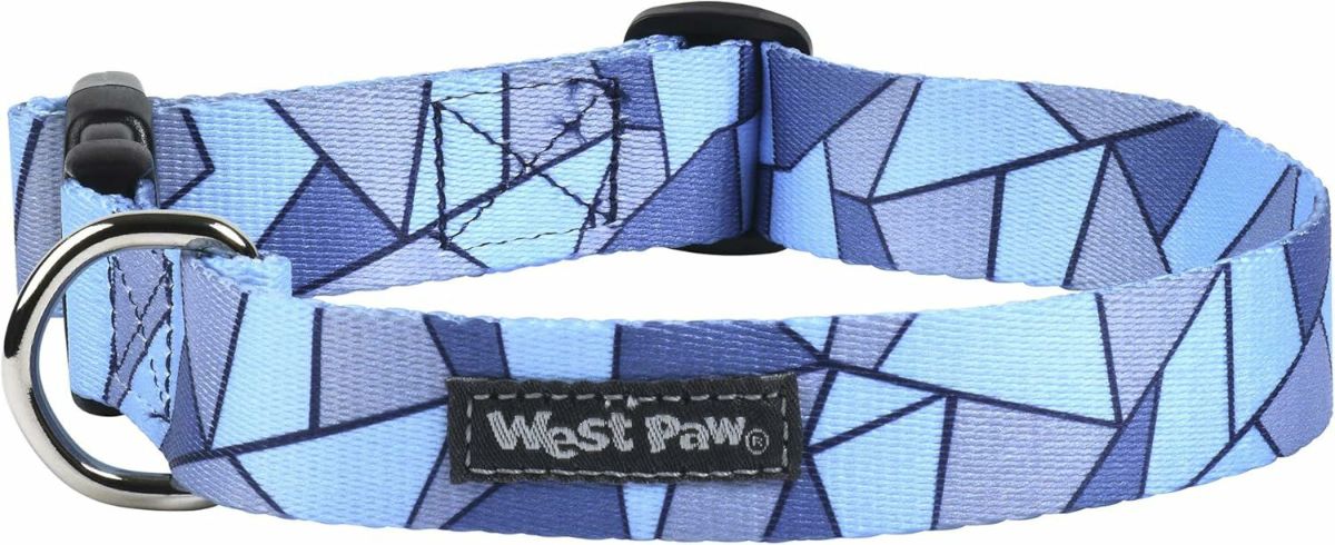 犬用 首輪 WESTPAW  クイックスナップバックルカラー Mサイズ ブルー
