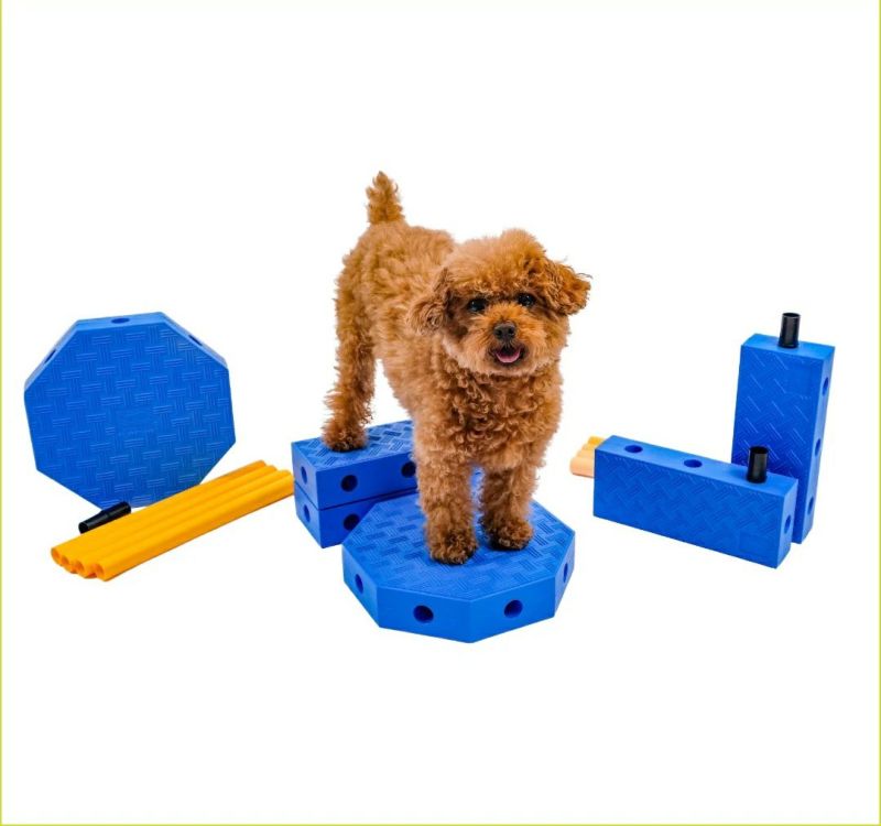 犬用 アジリティグッズ FitPAWS ドッグアジリティ FitKinect&#8482;