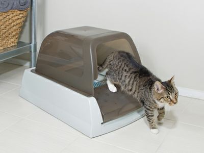 猫用 猫トイレ PETSAFE スクープフリー ウルトラ 自動ねこトイレ