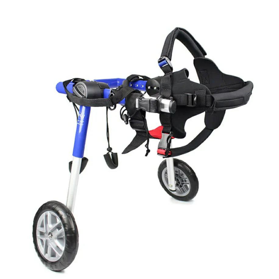 犬用 車椅子 Walkin Wheels ウォーキンホイールズ ドッグホイールチェア Mサイズ