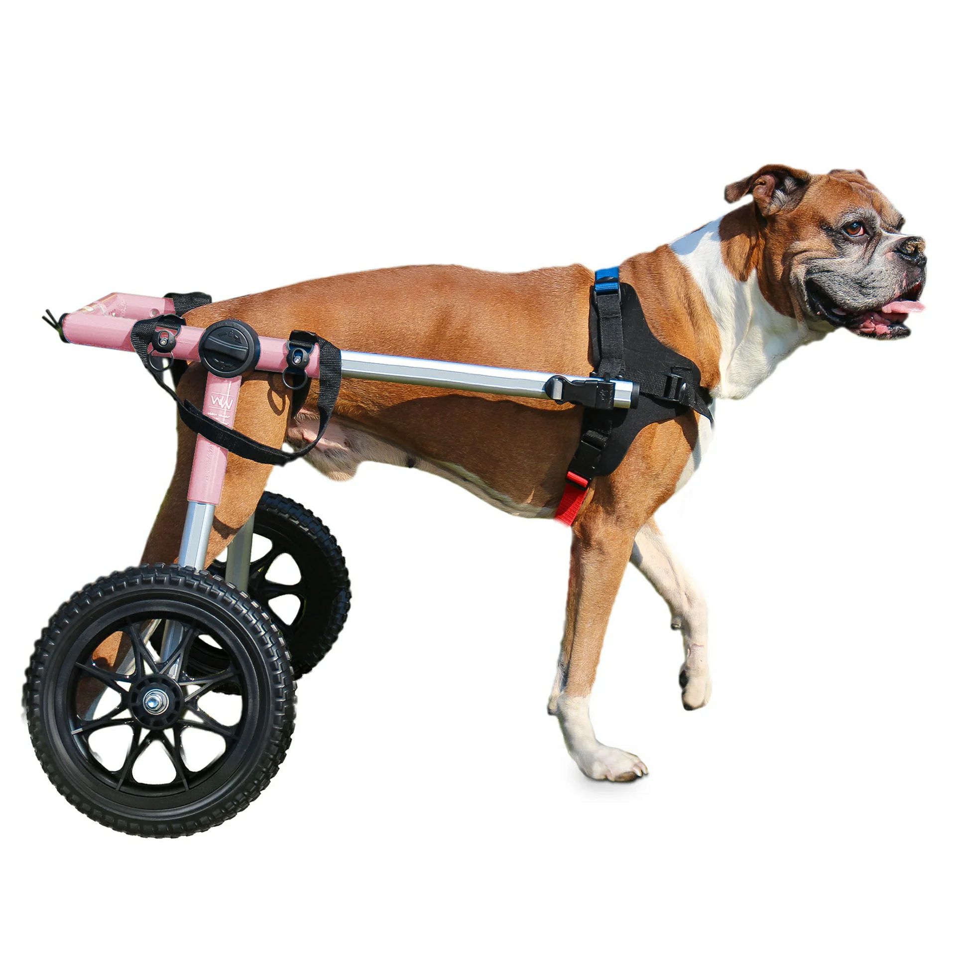 犬用 車椅子 Walkin Wheels ウォーキンホイールズ ドッグホイール