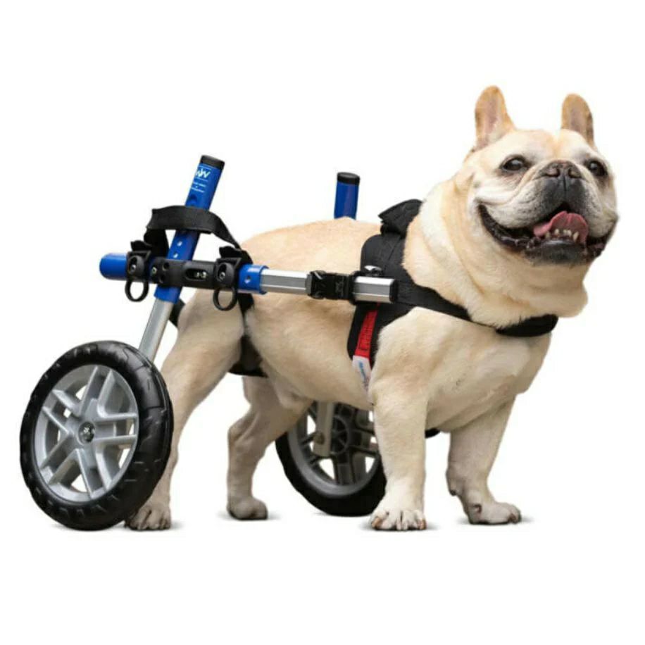 犬用 車椅子 Walkin Wheels ウォーキンホイールズ ドッグホイールチェア Sサイズ 小型犬用車椅子
