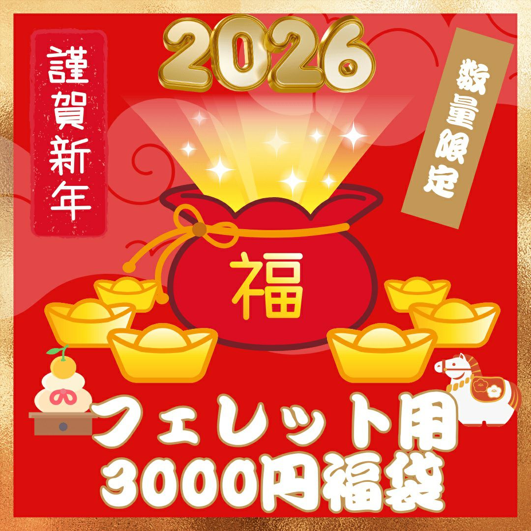 2026年新春福袋】ALLFORWAN'sLIFE海外ブランドお年玉特集