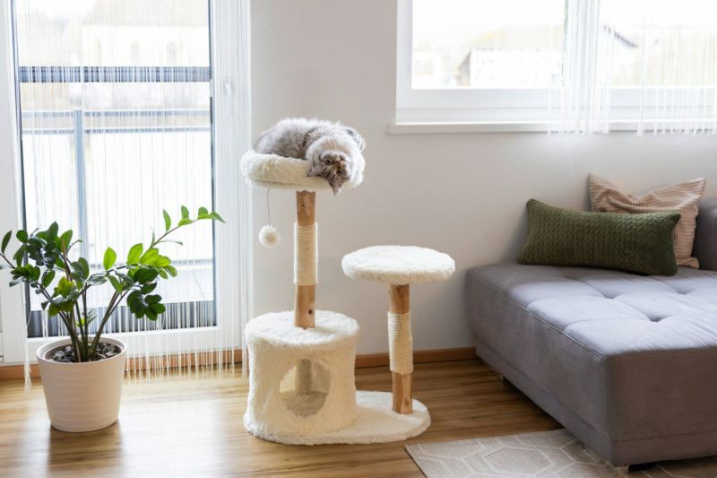 猫用 キャットタワー KERBL ケアブル ルシア キャットスクラッチングポスト