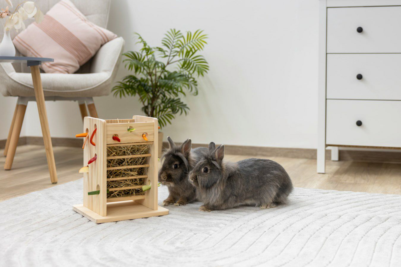 草木と小さな動物 大きい〇〇と小さな動物展 | midcoro